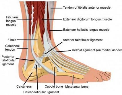 Ankle Pain · 2020 Top Foot Doctor 