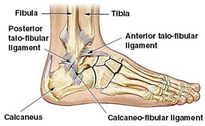 Foot Injuries